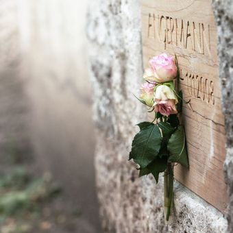 Rosen an einem Grabmal